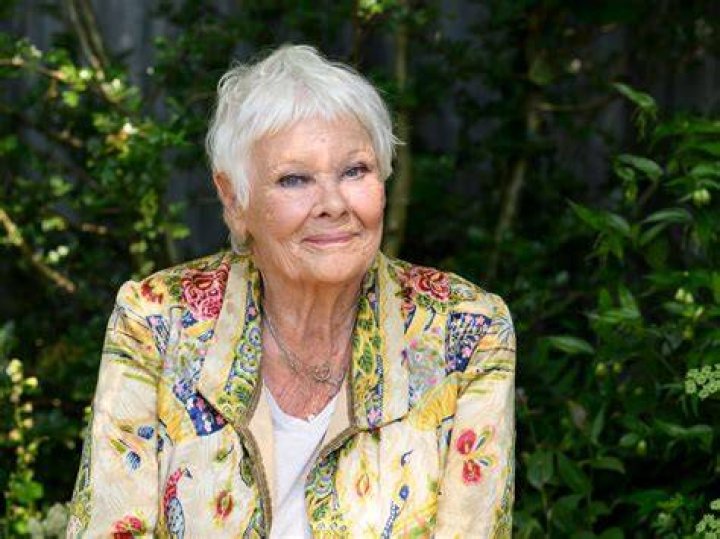 Judi Dench Net Worth
